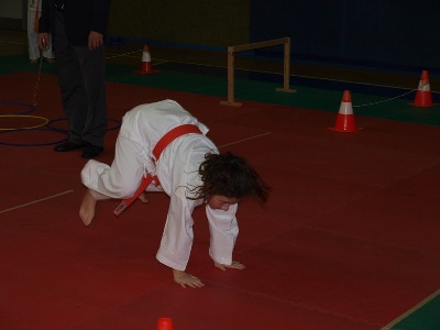 Image description